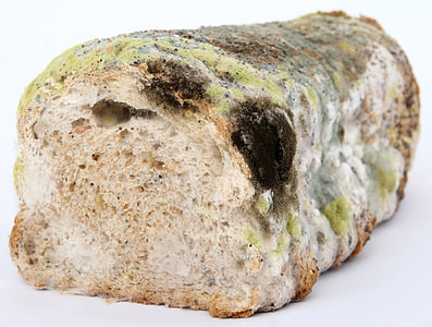 baked pastry thumbnail