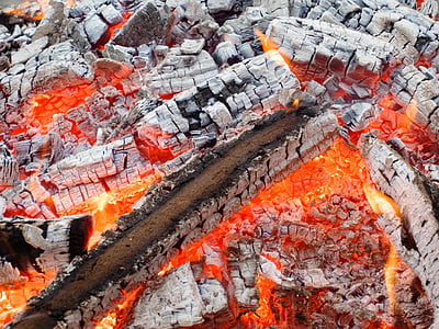 burned firewood thumbnail
