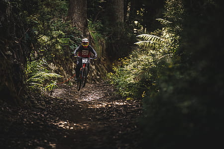 man riding on dirt bike between trees thumbnail