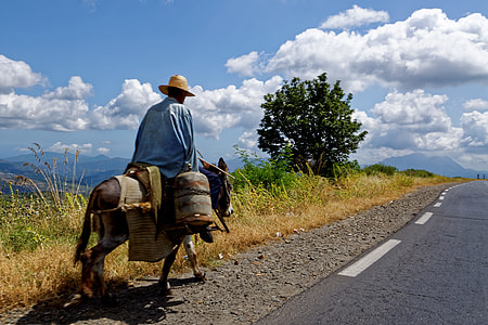 man riding on pony beside highway thumbnail