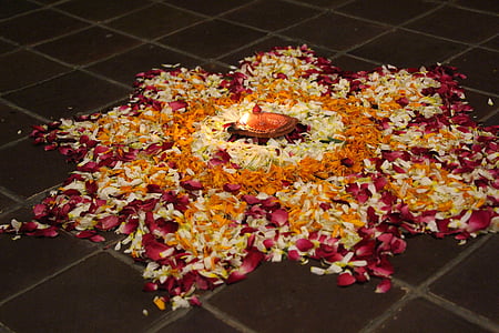 pink, white, and orange petals on floor thumbnail