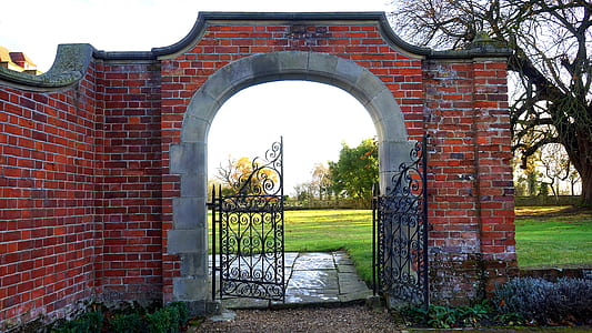 bricks, wall, garden, trees thumbnail
