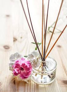 three petaled flower beside twigs in bottle on top of table thumbnail
