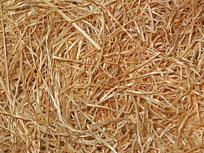 brown hay close-up photo thumbnail