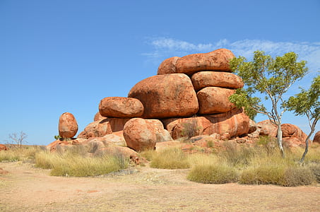 green leafed tree near brown rocks thumbnail