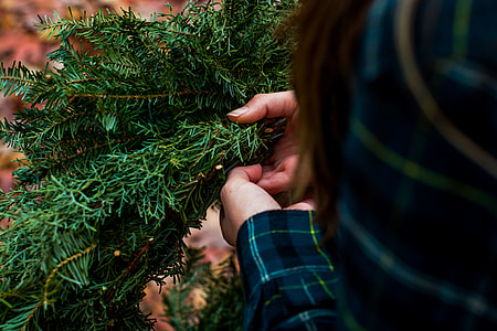 person holding green leaves thumbnail