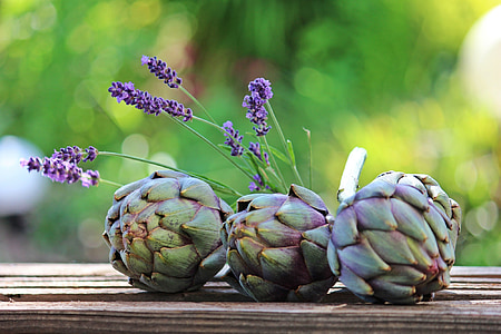 three green and purple flowers thumbnail