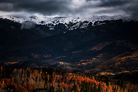 aerial photography of trees distance with mountains thumbnail
