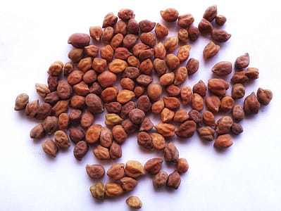 Chickpea legumes isolated in white background thumbnail