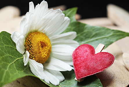 closeup photo of red heart ornament near white flower thumbnail