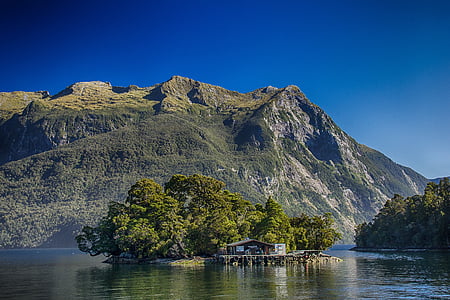 brown shed near trees on body of water thumbnail