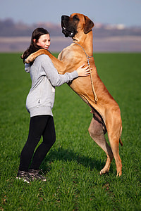 large size dog standing on woman wearing gray pullover hoodie on green open field at daytime thumbnail