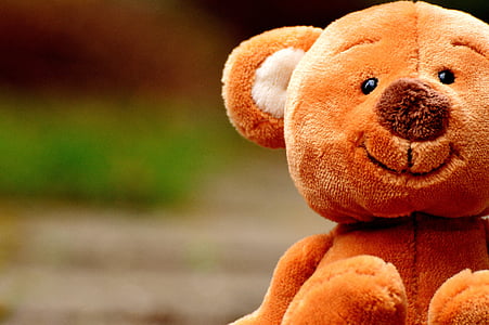 closeup photography of brown bear plush toy thumbnail