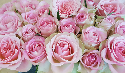 pink roses bouquet thumbnail