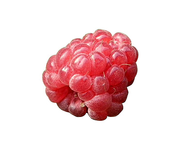 Raspberry thumbnail