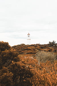 In Distance White Lighthouse thumbnail