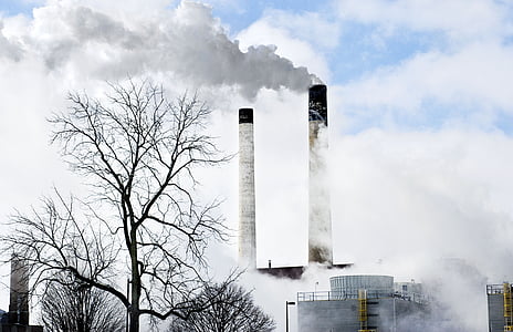 time lapse photography of ower plant under nimbus clouds thumbnail