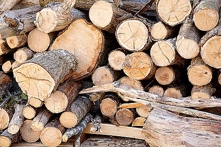 pile of brown wood logs thumbnail