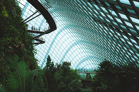 green leafed plants thumbnail