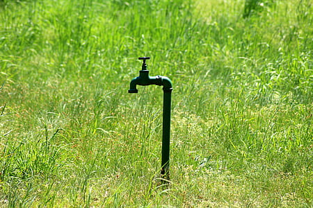 black faucet on grass field thumbnail