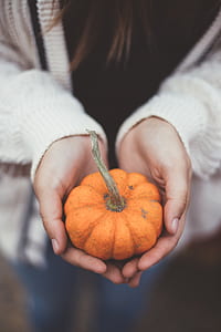 pumpkin in person's hand thumbnail