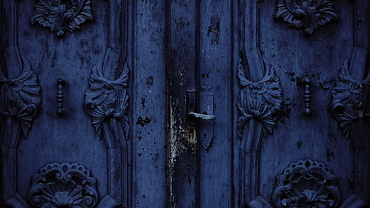 closed gray embossed wooden door thumbnail