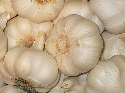 garlic lot thumbnail