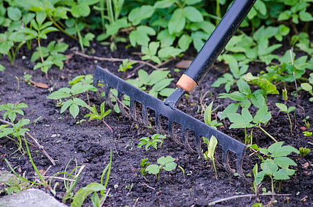 black metal framed rake on grass at daytime thumbnail
