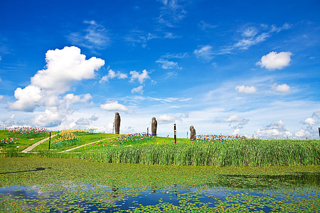 green grass field under cloudy blue sky thumbnail