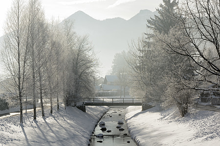 landscape photography of trees and snow thumbnail