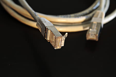 Closeup Photography of Lan Cable thumbnail