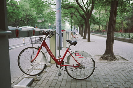 red bicycle near tree during daytime thumbnail