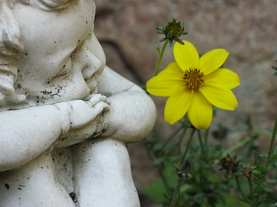 white cherub statue near yellow petaled flower thumbnail