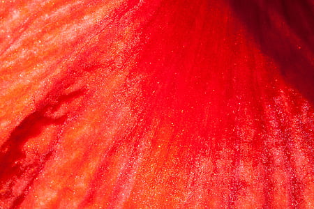 close up photo of red surface thumbnail