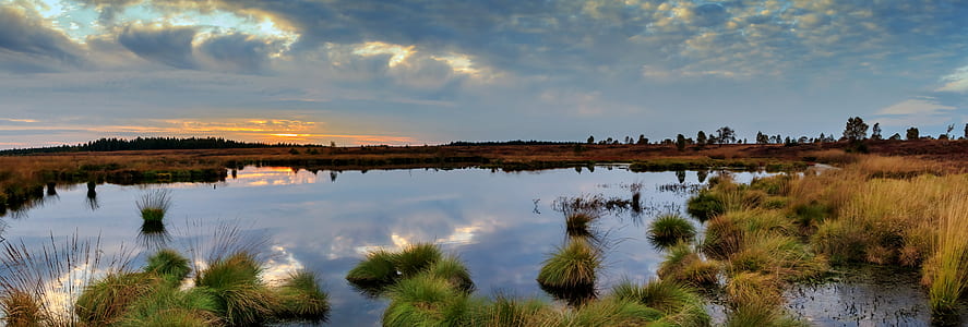 landscape photo of body of water thumbnail