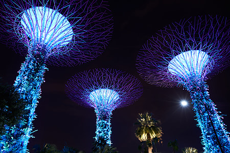 Garden by the Bay, Singapore thumbnail
