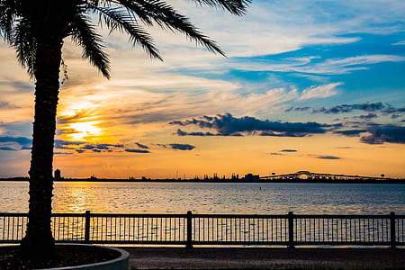 body of water during golden hour thumbnail