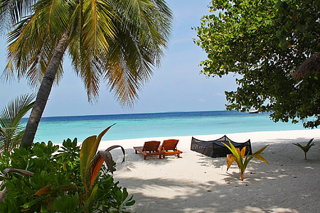 brown wooden outdoor lounge chair on seashore during daytime thumbnail