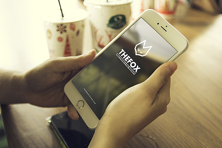 person holding silver iPhone 6 Plus displaying The Fox thumbnail
