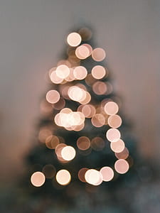 Defocused Image of Illuminated Christmas Tree Against Sky thumbnail