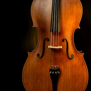 close-up photography of violin string instrument thumbnail
