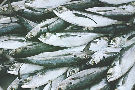 Fish for sale at a food market thumbnail