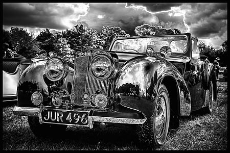grayscale photography of classic convertible on grass thumbnail