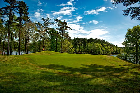 green grass field near lake at daytime thumbnail