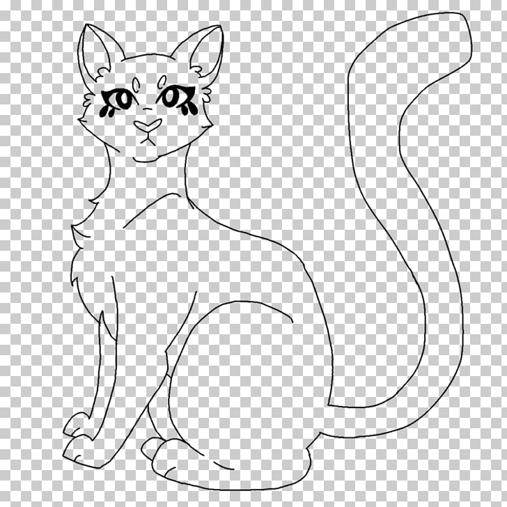 Whiskers Domestic Short Haired Cat Kitten Munchkin Cat Scottish