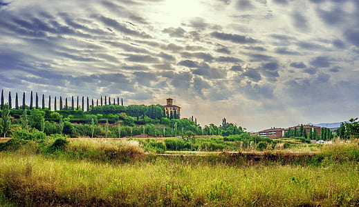 brown and yellow concrete building behind green trees during daytime photo thumbnail
