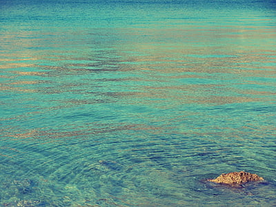 brown stone fragment on body of water thumbnail