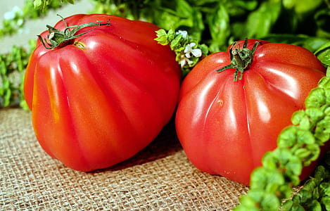 selective focus photography of two red tomatoes thumbnail