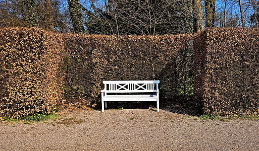 white wooden bench in front of bush plant during daytime thumbnail