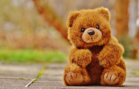 brown bear plush toy in shallow-focus shot thumbnail